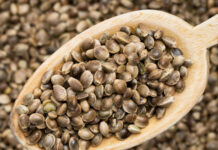 خواص شاهدانه خام