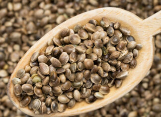 خواص شاهدانه خام