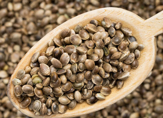 خواص شاهدانه خام