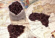 تاریخچه قهوه