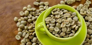 همه چیز در مورد قهوه سبز