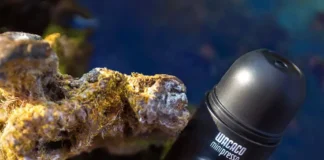 اسپرسوساز مسافرتی چیست؟6 اسپرسوساز مسافرتی برتر