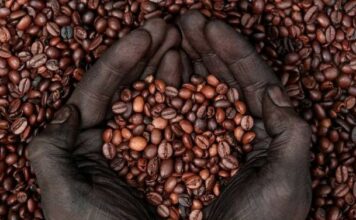 مشخصات طعم قهوه اتیوپی را بشناسید