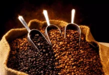 قهوه اتیوپی سیدامو و خصوصیاتی که باید بدانید