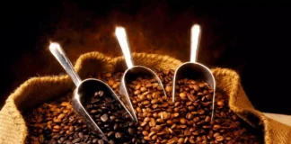 قهوه اتیوپی سیدامو و خصوصیاتی که باید بدانید