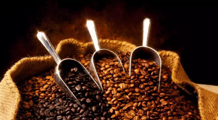 قهوه اتیوپی سیدامو و خصوصیاتی که باید بدانید