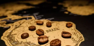 همه چیز راجب قهوه برزیل