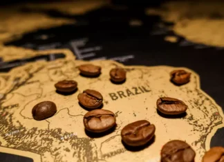 همه چیز راجب قهوه برزیل