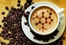 ترکيبات تشکيل دهنده قهوه