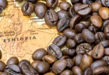 مشخصات قهوه اتیوپی یرگاچف