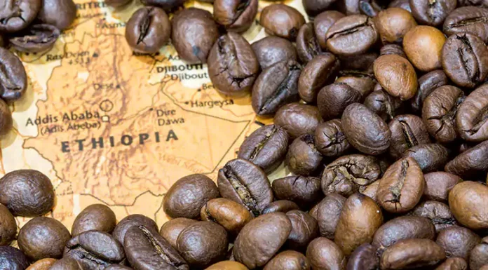 مشخصات قهوه اتیوپی یرگاچف