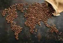 هر آنچه در مورد قهوه سینگل اورجین باید بدانید