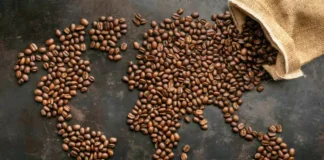 هر آنچه در مورد قهوه سینگل اورجین باید بدانید